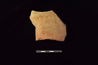 藏品(陶片)的圖片